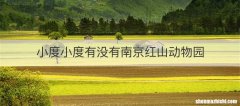 小度小度有没有南京红山动物园
