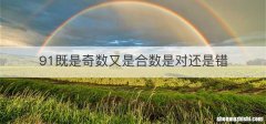 91既是奇数又是合数是对还是错