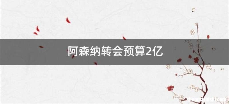 阿森纳转会预算2亿