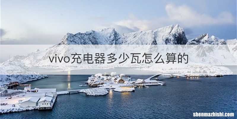 vivo充电器多少瓦怎么算的