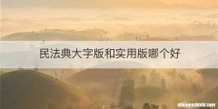 民法典大字版和实用版哪个好
