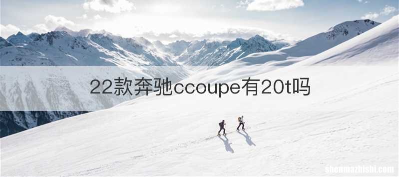 22款奔驰ccoupe有20t吗