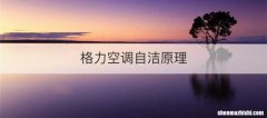 格力空调自洁原理