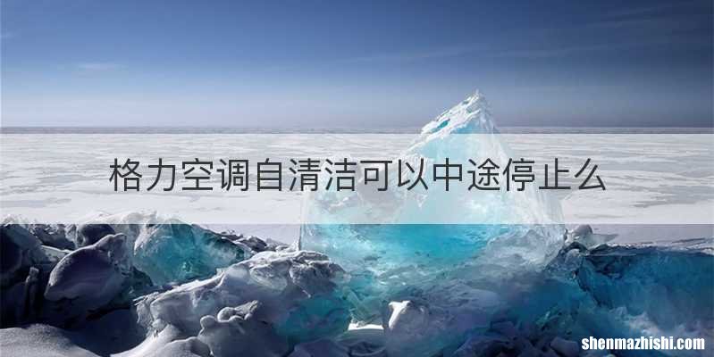 格力空调自清洁可以中途停止么