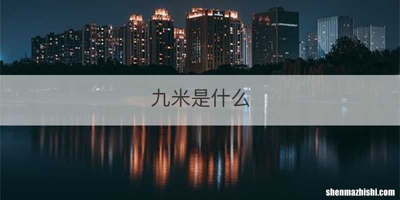 九米是什么