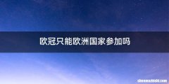 欧冠只能欧洲国家参加吗