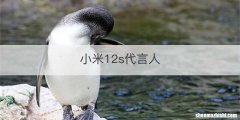 小米12s代言人