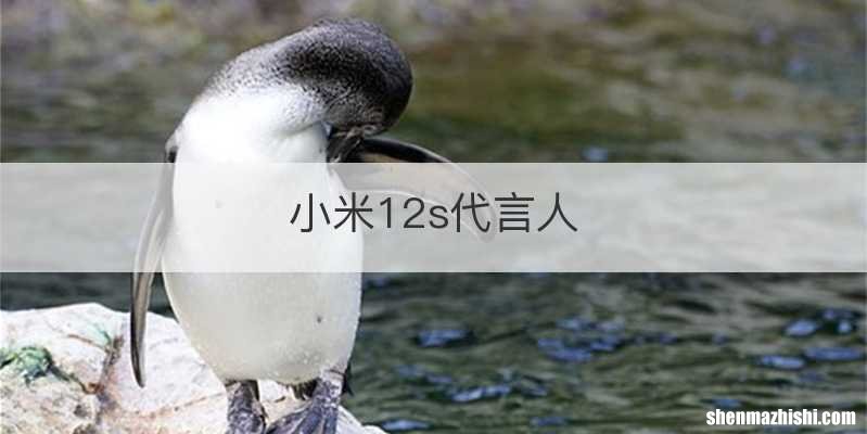 小米12s代言人