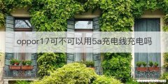 oppor17可不可以用5a充电线充电吗