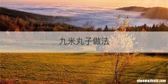 九米丸子做法