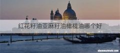 红花籽油亚麻籽油橄榄油哪个好