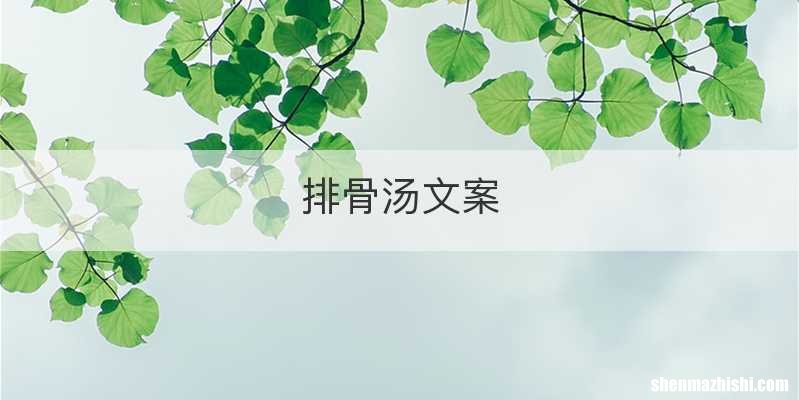 排骨汤文案