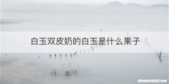白玉双皮奶的白玉是什么果子