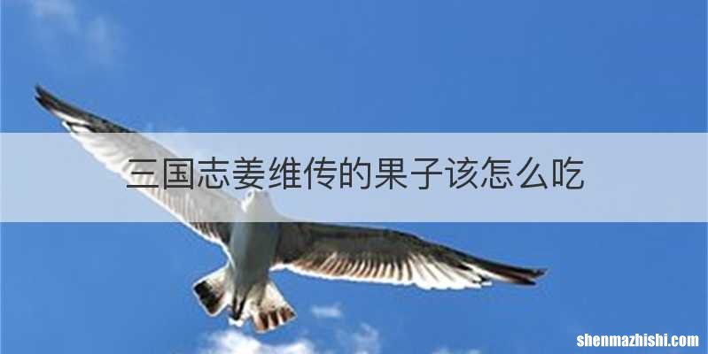 三国志姜维传的果子该怎么吃