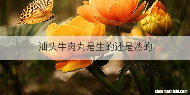 汕头牛肉丸是生的还是熟的