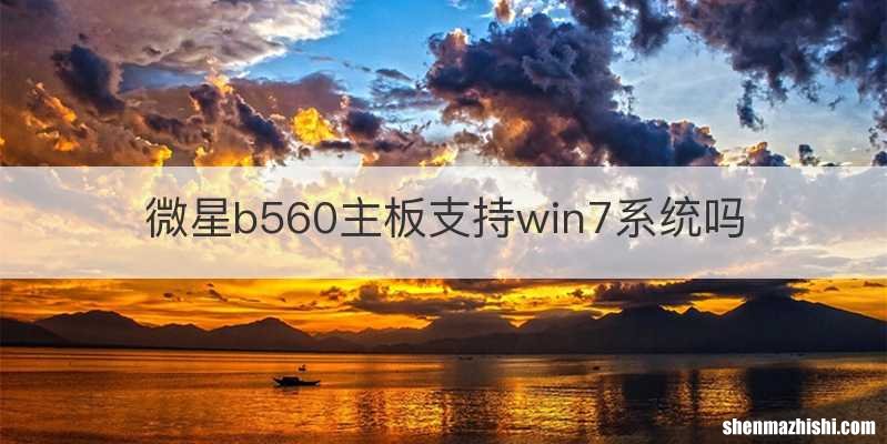 微星b560主板支持win7系统吗