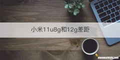 小米11u8g和12g差距
