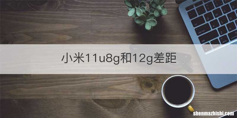 小米11u8g和12g差距