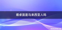 蔡卓宜是马来西亚人吗