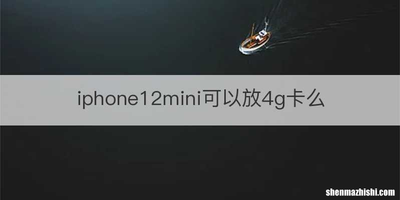 iphone12mini可以放4g卡么