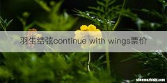 羽生结弦continue with wings票价