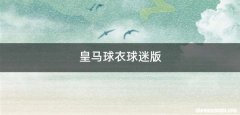 皇马球衣球迷版