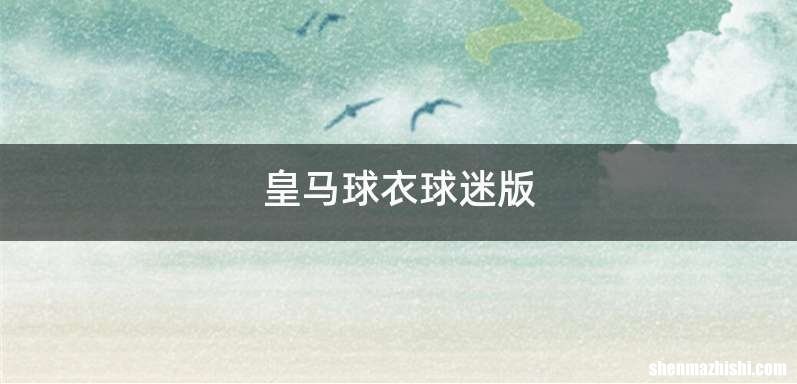 皇马球衣球迷版