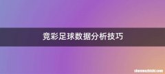 竞彩足球数据分析技巧