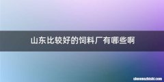 山东比较好的饲料厂有哪些啊
