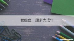 鳑鲏鱼一般多大成年