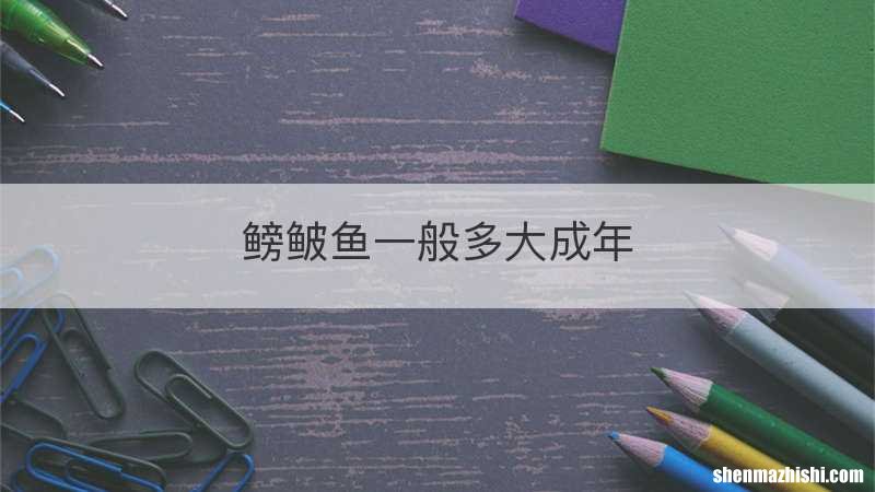 鳑鲏鱼一般多大成年