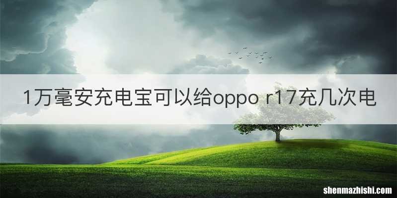 1万毫安充电宝可以给oppo r17充几次电