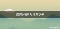嘉兴月薪2万什么水平