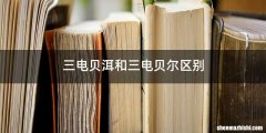 三电贝洱和三电贝尔区别