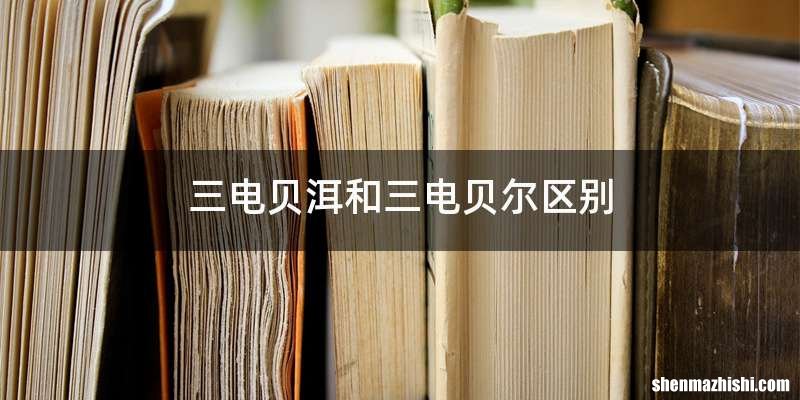 三电贝洱和三电贝尔区别