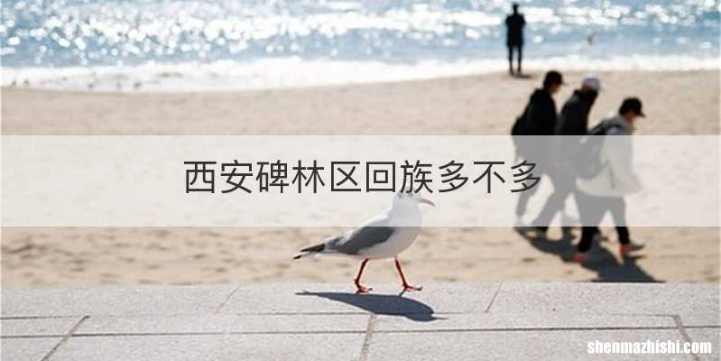 西安碑林区回族多不多