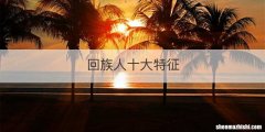 回族人十大特征