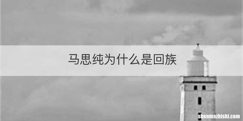 马思纯为什么是回族