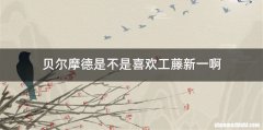 贝尔摩德是不是喜欢工藤新一啊
