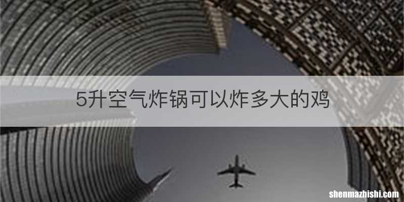 5升空气炸锅可以炸多大的鸡