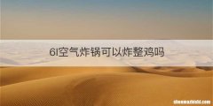 6l空气炸锅可以炸整鸡吗