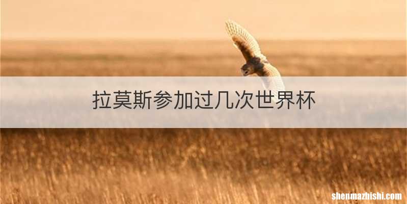 拉莫斯参加过几次世界杯