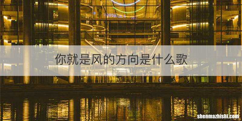 你就是风的方向是什么歌