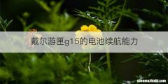戴尔游匣g15的电池续航能力