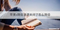 苹果x降级通道关闭了怎么降级