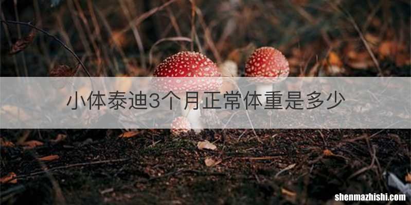 小体泰迪3个月正常体重是多少