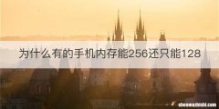 为什么有的手机内存能256还只能128