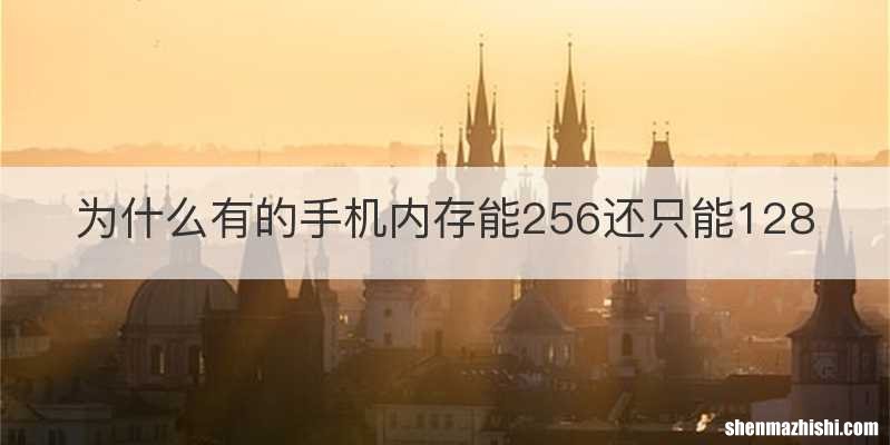为什么有的手机内存能256还只能128