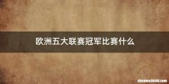 欧洲五大联赛冠军比赛什么