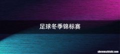 足球冬季锦标赛
